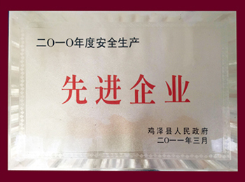 2010年度安全生產(chǎn)先進單位.jpg